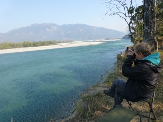 Emma ever hopeful, looking for dolphins.