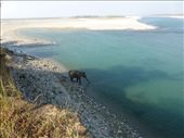Wow an an elephant, hang on he is with his mahout!: by steve_and_emma, Views[448]