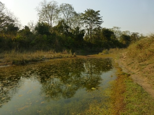 The end of a long fruitless day in Bardia.