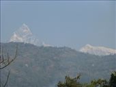 The air cleared and Emma saw why Pokhara is picture perfect.: by steve_and_emma, Views[543]
