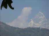A view of Fish Tail mountain from Pokhara.: by steve_and_emma, Views[508]