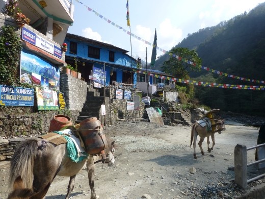 Birethani was the first village where we had to register for the trek.