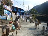 Birethani was the first village where we had to register for the trek.: by steve_and_emma, Views[316]