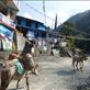 Birethani was the first village where we had to register for the trek.: by steve_and_emma, Views[277]