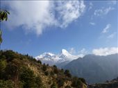 by steve_and_emma, Views[312]