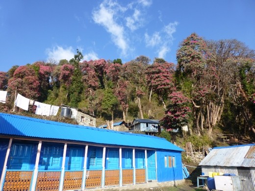 Tadapani is a nice village.