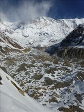 Looking up the glacier to Annapurna 1.: by steve_and_emma, Views[392]
