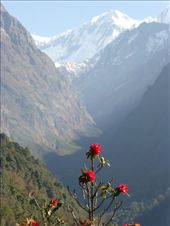 by steve_and_emma, Views[374]