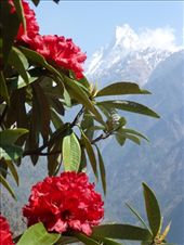 by steve_and_emma, Views[371]