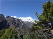 Heading up towards Namche Bazzar.: by steve_and_emma, Views[380]