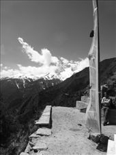 by steve_and_emma, Views[324]