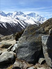 by steve_and_emma, Views[351]