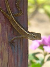 by steve_and_emma, Views[572]