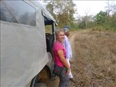 Emma is happy on getting to see wild elephants.: by steve_and_emma, Views[424]