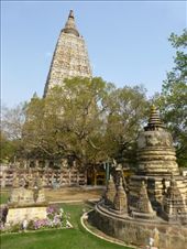 by steve_and_emma, Views[374]