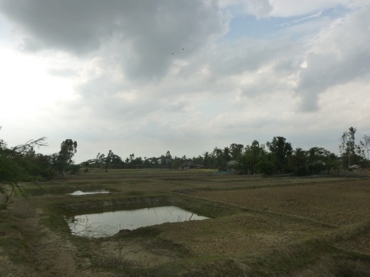 A bit of a contrast from Kolkata.