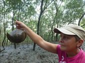 Emma with a horseshoe crab.: by steve_and_emma, Views[433]