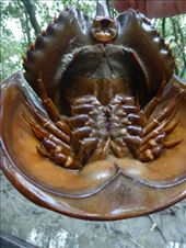 by steve_and_emma, Views[431]