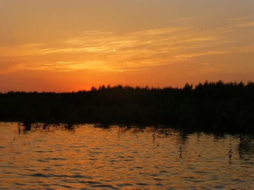 Sunset in the Sundabans.