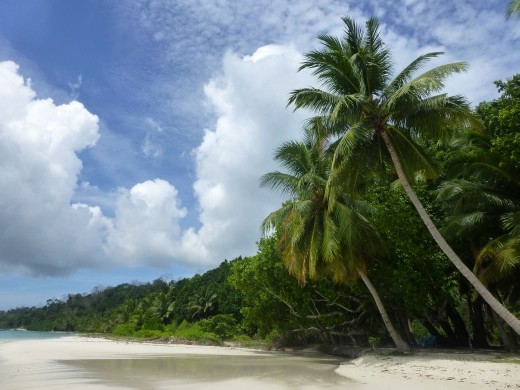 Beach 5 on Havelock Island.