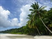 Beach 5 on Havelock Island.: by steve_and_emma, Views[383]