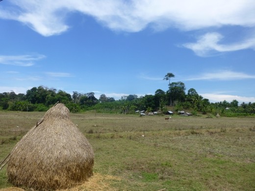 We explored the island by bike and the scenery was lovely.