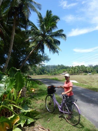 Come on Emma, it's only a small island, get on yer bike!