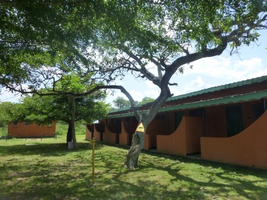 The basic rooms at Ziwa are quite decent.