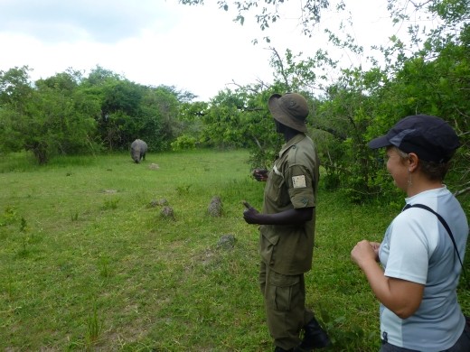 The big male rhino took a close interest in us too, so we hid behind a tree!