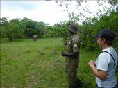 The big male rhino took a close interest in us too, so we hid behind a tree!: by steve_and_emma, Views[420]