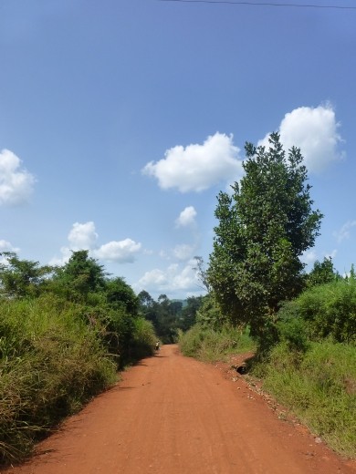 We went for a stroll around Masindi.