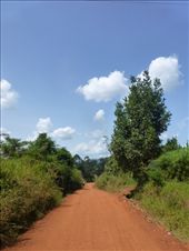 We went for a stroll around Masindi.: by steve_and_emma, Views[398]