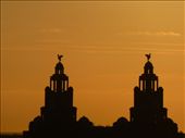 The Liver building.: by steve_and_emma, Views[292]