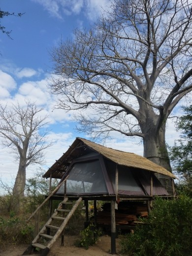 Glamping at Liwonde Safari Camp.