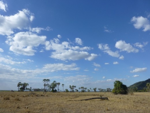 A safari park in Africa with no other jeeps!