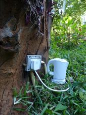 Tree - mendous! A tent with an electric tree so I could make a brew!: by steve_and_emma, Views[351]