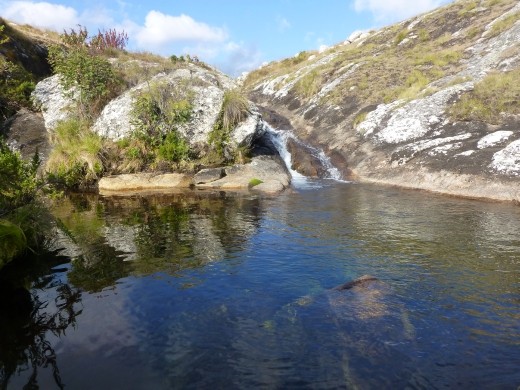 We did an extra walk to see some nature pools on day 1.