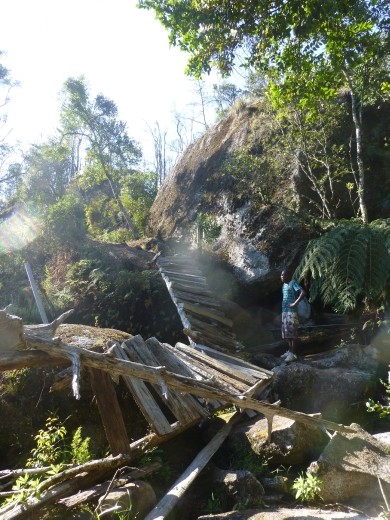 This bridge had turned into a ladder.