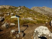 There are lots of trails on the mountain and quite a few signs but still best to have a guide.: by steve_and_emma, Views[496]