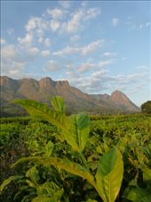 by steve_and_emma, Views[600]