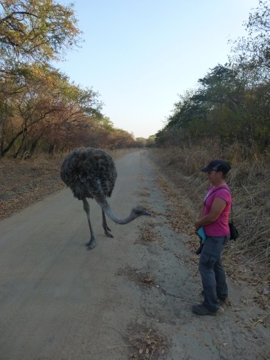 Evelyn was quite keen to say hello to Emma.