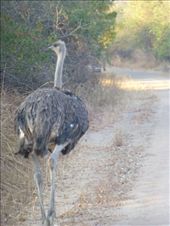 Then she went on her way.: by steve_and_emma, Views[407]