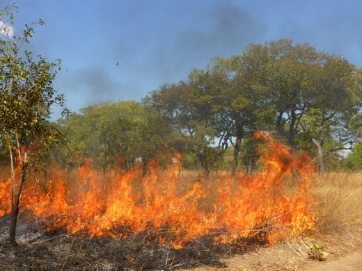 Bush fires are a problem as Malawi is very dry at this time of year.