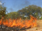 Bush fires are a problem as Malawi is very dry at this time of year.: by steve_and_emma, Views[409]