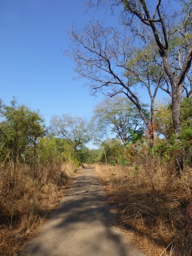 You can walk on your own any where in the reserve which make sit an unusual experience.