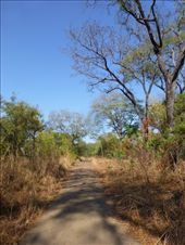 You can walk on your own any where in the reserve which make sit an unusual experience.: by steve_and_emma, Views[539]
