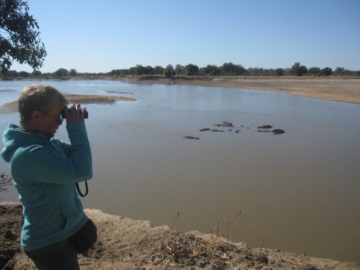 Emma on the look out.
