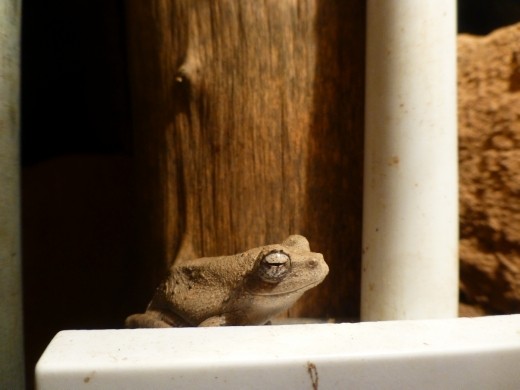 A friend in the bathroom.