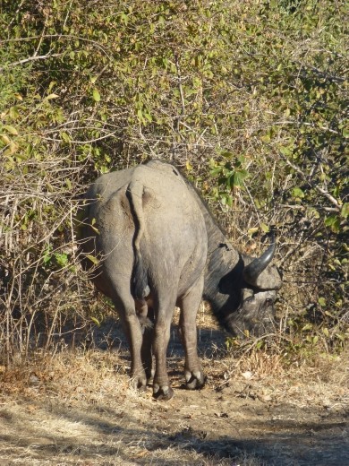 Not sure these fellas should be in the big 5.