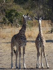 by steve_and_emma, Views[366]